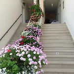 Nora Apartment *