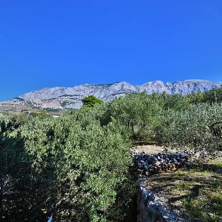 Nora 公寓 图彻皮