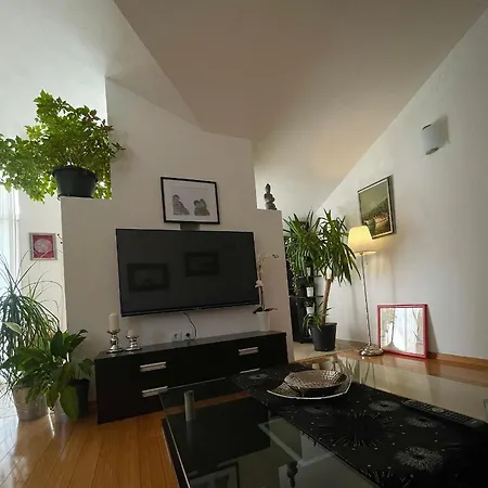 公寓 Nora 图彻皮