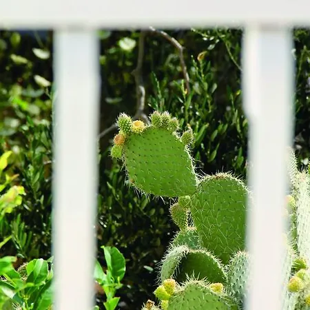 Nora 公寓 图彻皮