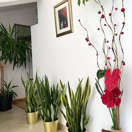 Apartment Nora