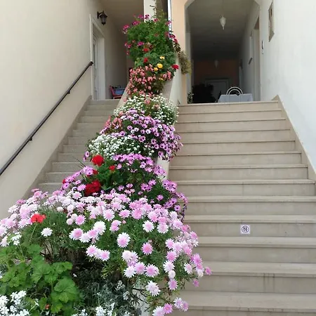 Nora Apartment *