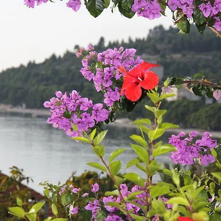 Nora Апартаменты Тучепи