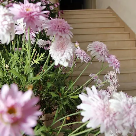 아파트 Nora 투체피