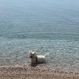 Apartament Nora